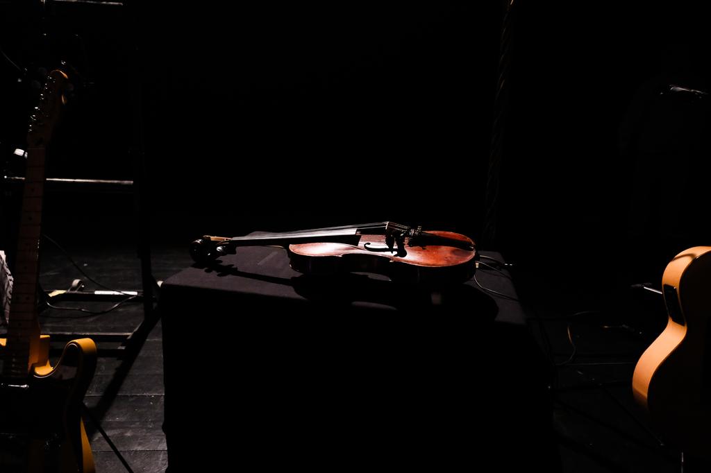 Violon au repos
